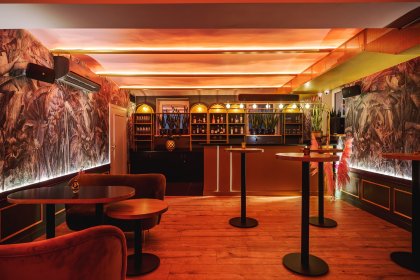 hotel **** - Hotel Apis - zdjęcie 5