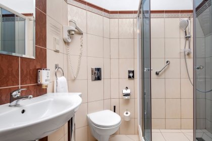 dworek - Hotel Bonum - zdjęcie 7