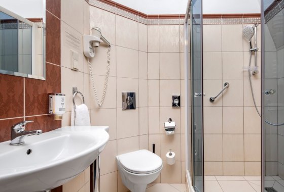 dworek - Hotel Bonum - Pokoje - zdjęcie 3