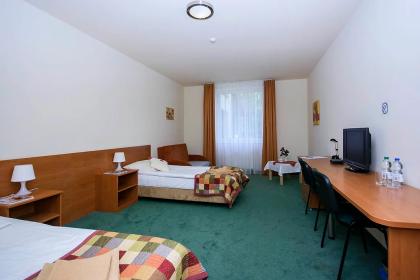 hotel - Villa Vega - zdjęcie 3