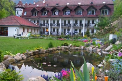 hotel *** - Hotel Las *** - zdjęcie 1