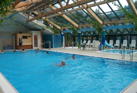 hotel *** - Hotel Las *** - Usługi - zdjęcie 1