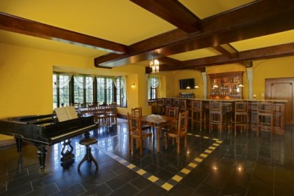 zamek - Hotel Zamek na Skale - zdjęcie 10