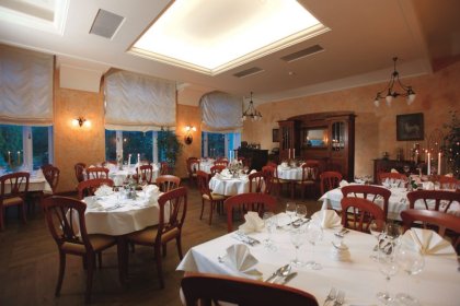 zamek - Hotel Zamek na Skale - zdjęcie 8