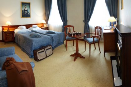 zamek - Hotel Zamek na Skale - zdjęcie 21