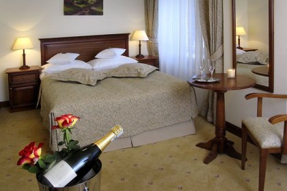 zamek - Hotel Zamek na Skale - zdjęcie 24