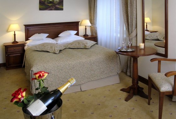 zamek - Hotel Zamek na Skale - Pokoje - zdjęcie 11