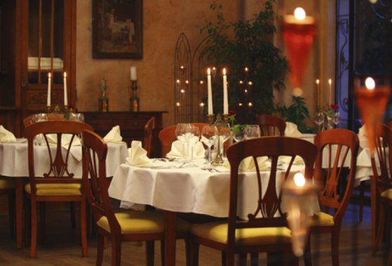 zamek - Hotel Zamek na Skale - Usługi - zdjęcie 8