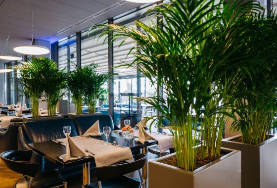 hotel **** - Przystań Hotel & Restaurants - Usługi - zdjęcie 5