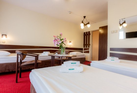 hotel - Pensjonat Halny ** - Pokoje - zdjęcie 1