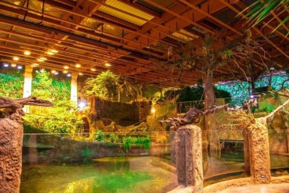 obiekt konferencyjny - Afrykarium ZOO Wrocław - zdjęcie 16