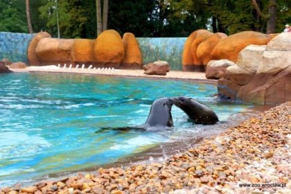 obiekt konferencyjny - Afrykarium ZOO Wrocław - zdjęcie 15