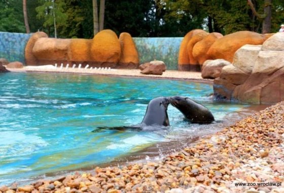 obiekt konferencyjny - Afrykarium ZOO Wrocław - Usługi - zdjęcie 2