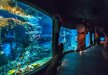 obiekt konferencyjny - Afrykarium ZOO Wrocław - zdjęcie 13