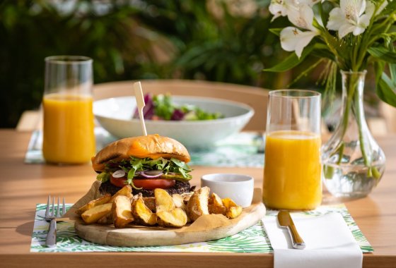 hotel *** - HL Hotel Lechicka*** - Usługi - zdjęcie 5