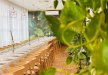 hotel *** - HL Hotel Lechicka*** - zdjęcie 19
