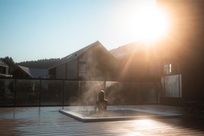 hotel ***** - Termy Karkonosze***** Resort & Spa - zdjęcie 8