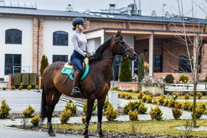 hotel - Salio Equisport Resort & SPA - zdjęcie 4