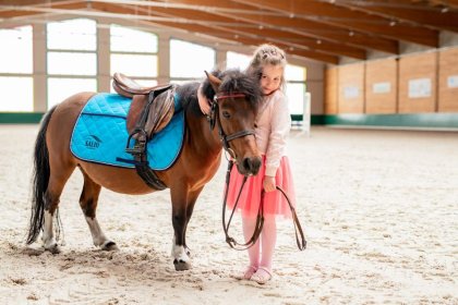 hotel - Salio Equisport Resort & SPA - zdjęcie 16