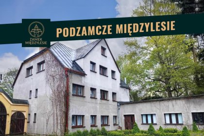 zamek - Zamek Międzylesie - zdjęcie 1