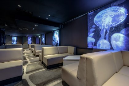 hotel ***** - Radisson Blu Resort - zdjęcie 13