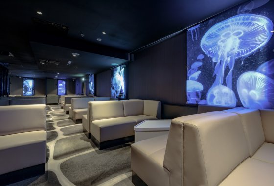 hotel ***** - Radisson Blu Resort - Usługi - zdjęcie 2