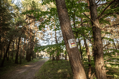 hotel **** - Hotel Jurajski Kryształ - zdjęcie 12