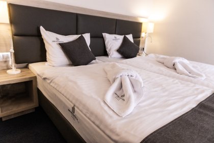 hotel **** - Hotel Jurajski Kryształ - zdjęcie 21