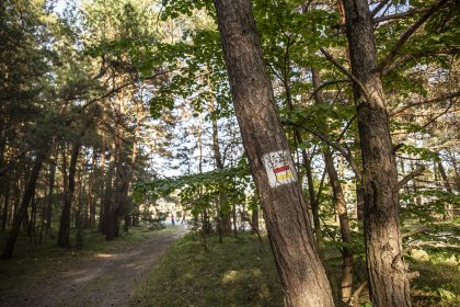 hotel **** - Hotel Jurajski Kryształ - zdjęcie 25