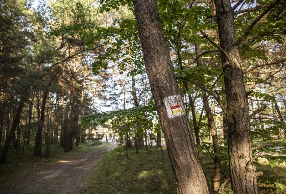 hotel **** - Hotel Jurajski Kryształ - Usługi - zdjęcie 3