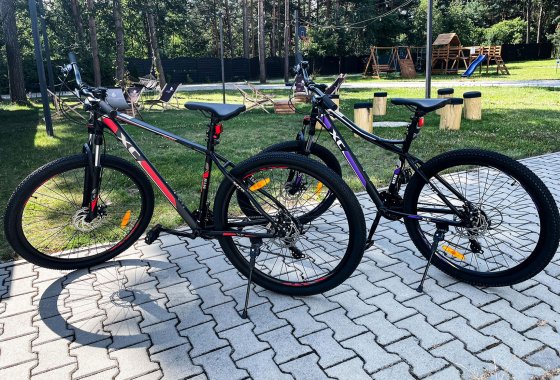 hotel **** - Hotel Jurajski Kryształ - Usługi - zdjęcie 6