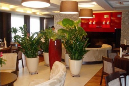 hotel *** - Gościnny Dom - zdjęcie 5
