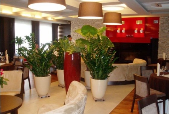hotel *** - Gościnny Dom - Usługi - zdjęcie 2