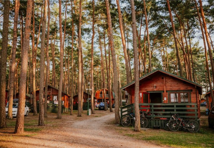 ------Kormoran Niesulice