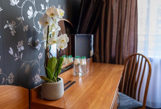 hotel *** - Baltic Inn Pogorzelica - Pokoje - zdjęcie 4