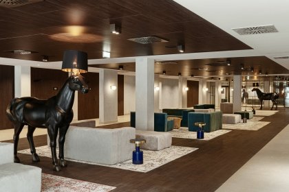 hotel ***** - Lake Hill Mazury, a member of Radisson Individuals - zdjęcie 4