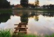 pałac - Pałac w Rymaniu*** - zdjęcie 14