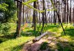 obiekt konferencyjny - Kasor Resort & Spa - zdjęcie 17