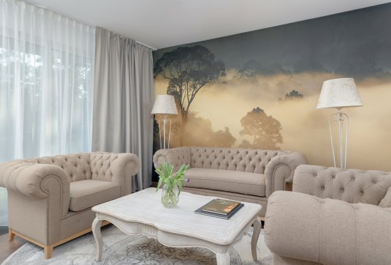 hotel **** - Hotel **** Juvena Wellness & Spa - Pokoje - zdjęcie 3
