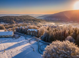 Forest Park Resort & SPA