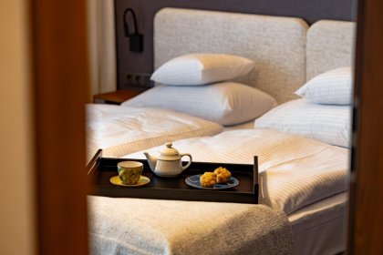 hotel **** - Forest Park Resort & SPA - zdjęcie 8