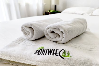 hotel *** - Park Poniwiec Resort - zdjęcie 3