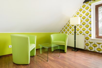 hotel - Rezydencja nad jeziorem - Pestkownica - zdjęcie 29
