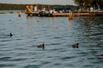 pensjonat - Ośrodek Wypoczynkowy Kormoran Niesulice - zdjęcie 5