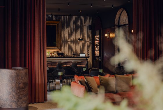 hotel **** - Flaner Hotel **** - Usługi - zdjęcie 6