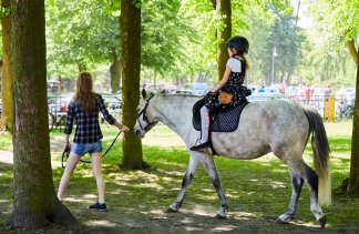 obiekt konferencyjny - Wrocławski Tor Wyścig&oacute;w Konnych &ndash; Partynice - zdjęcie 1 