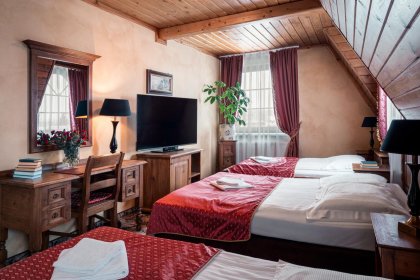 hotel - Hotel Zameczek - zdjęcie 36