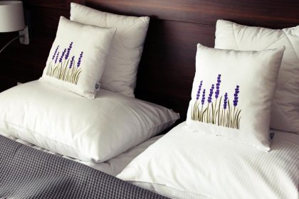 hotel - Koszarka Venue & SPA - zdjęcie 9
