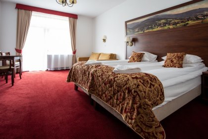 hotel **** - Hotel Buczyński **** Medical & Spa - zdjęcie 15