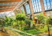 inny - Centrum Edukacji Ekologicznej Egzotarium - zdjęcie 8